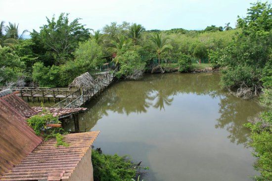 Dolphin Discovery Vallarta